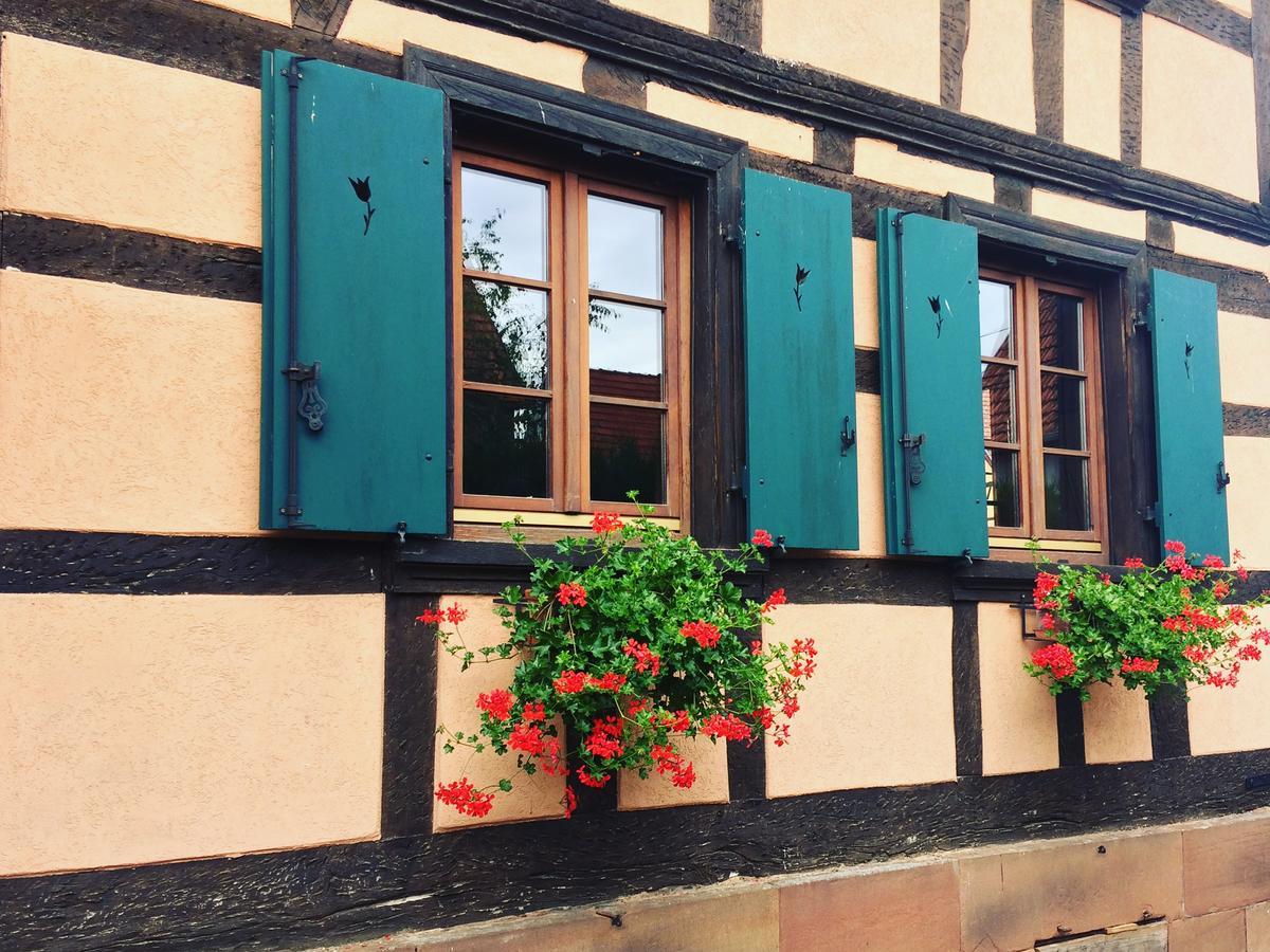 Chambres D'Hotes S'Burehiesel Schillersdorf Eksteriør billede